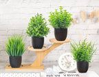 Little Cottage Faux Greenery Set