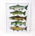 Fish Print Art